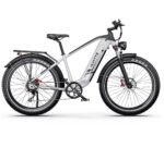 750W DUOTTS F26Lite Električni bicikl MTB Off Road LG Punjiva Baterija