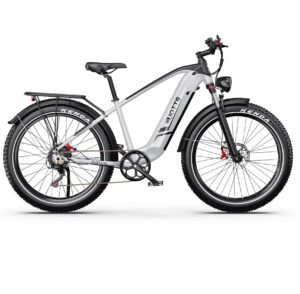 750W DUOTTS F26Lite Električni bicikl MTB Off Road LG Punjiva Baterija