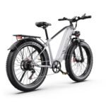 750W DUOTTS F26Lite Električni bicikl MTB Off Road LG Punjiva Baterija